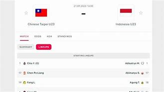 Timnas Indonesia Live Skor